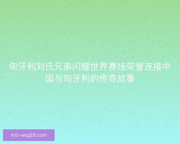 匈牙利刘氏兄弟闪耀世界赛场荣誉连接中国与匈牙利的传奇故事